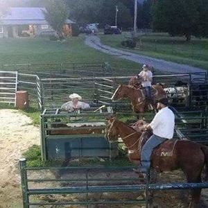 Meet your Posher, Shane